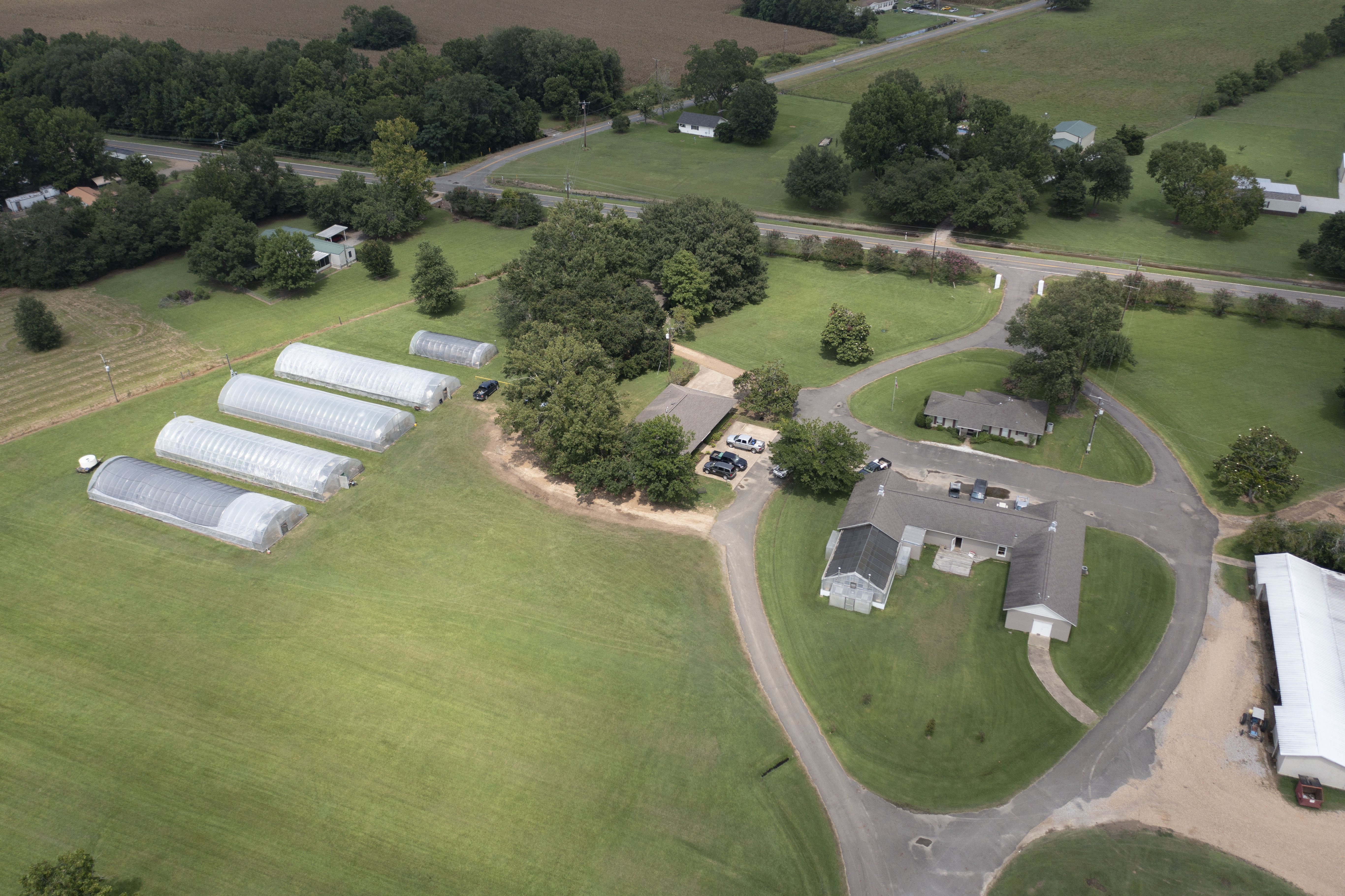 Cultivating Excellence: 75 Years of Innovation at the  LSU AgCenter Sweet Potato Research Station 